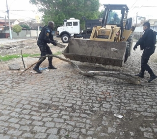 Retirada de barricadas na Baleeira