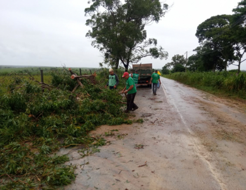 Vento derruba rvores e destelha casas em SFI