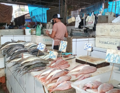 No Mercado Municipal é possível encontrar preços mais acessíveis