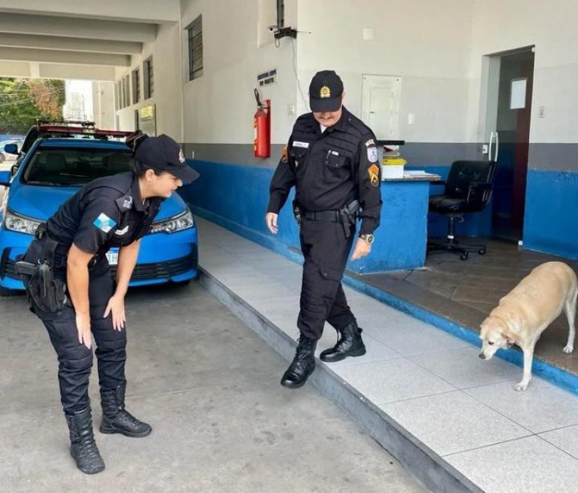 Pretinha acompanha o sargento Rainha