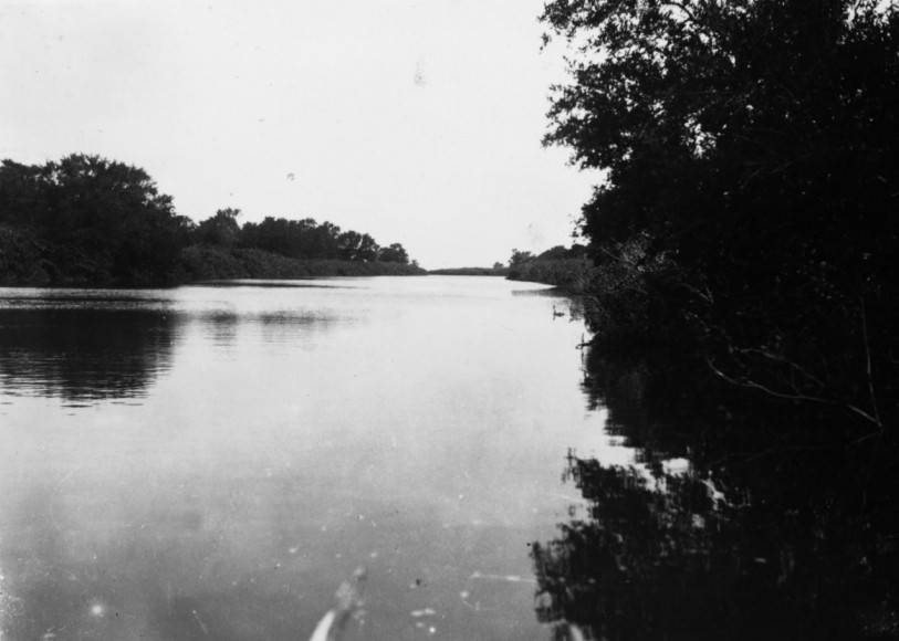 Manguezal do rio Paraíba do Sul em 1939. Acervo do Departamento Nacional de Obras e Saneamento