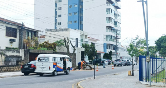 Galhos foram retirados (Foto: Genilson Pessanha)