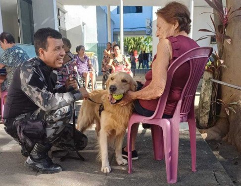 Cachorros interagem com idosos em asilo 