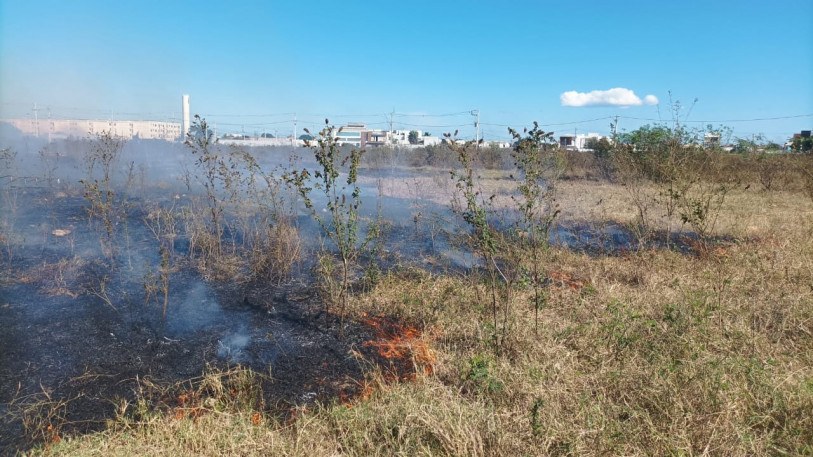 Fogo em vegetação